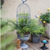 Vintage Bird Cage Planter